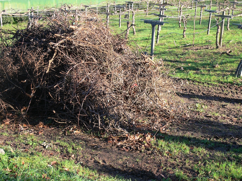 Los restos de poda no deben almacenarse en la finca.jpg