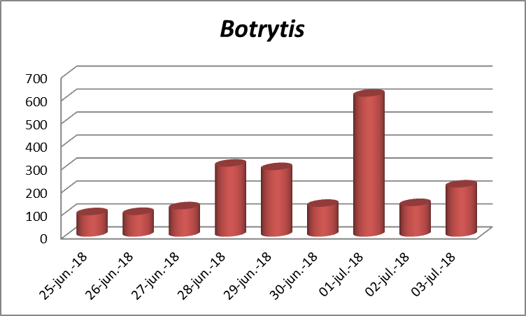 grafica Botrytis