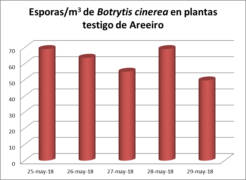 grafica Botrytis cinerea grafica Botrytis cinerea