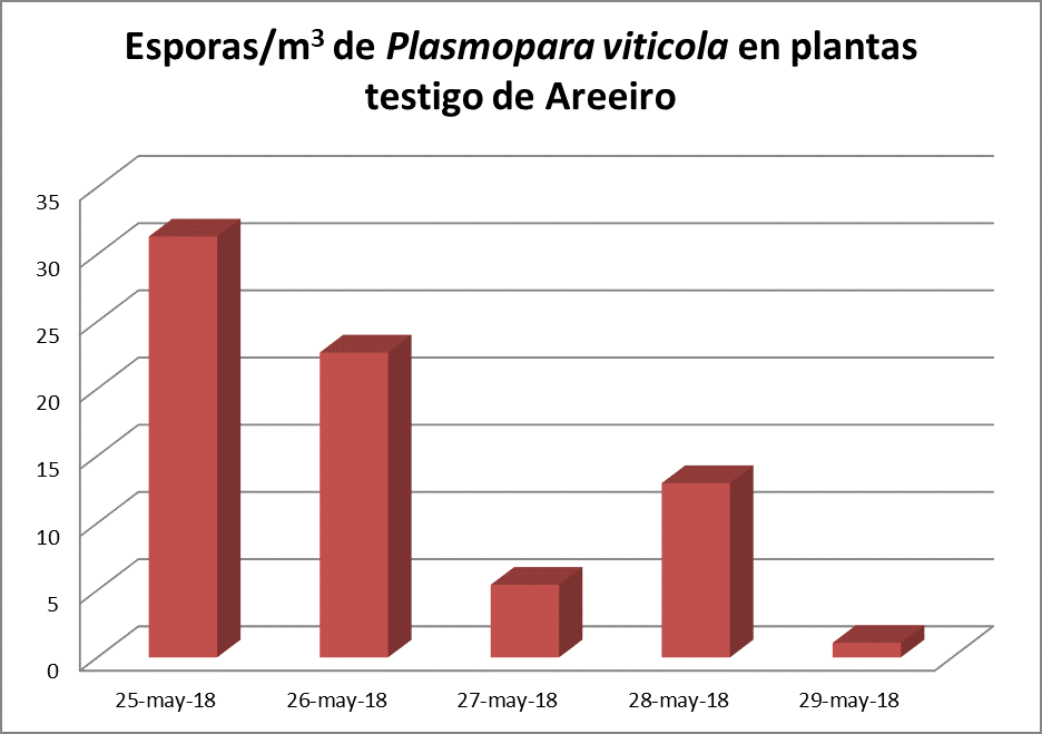 grafica plasmopara viticola