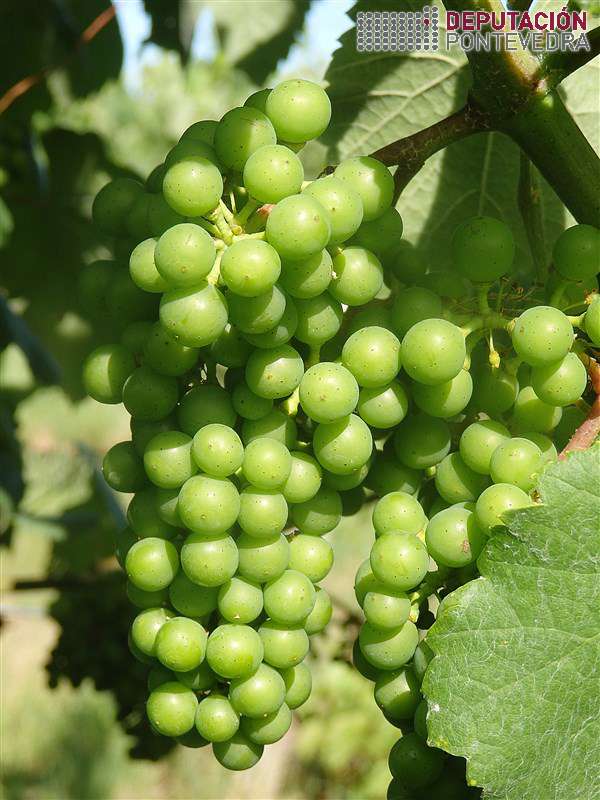 20200609_Acio case pechado en O Condado 20200609_Acio case pechado en O Condado