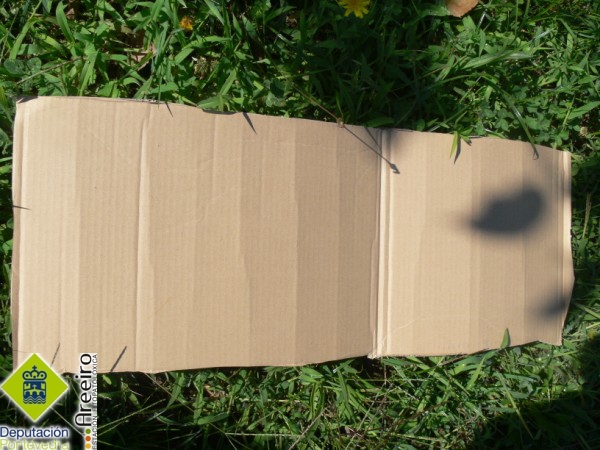 Banda de cartón para utilizar