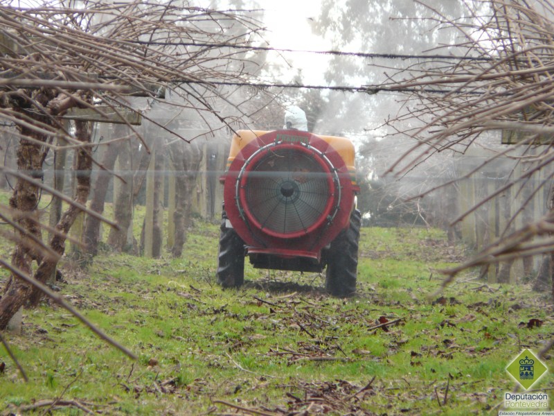Tratamiento de Invierno Tratamiento de Invierno