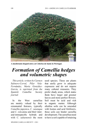 P13_11Web_ACS-Camellia hedges