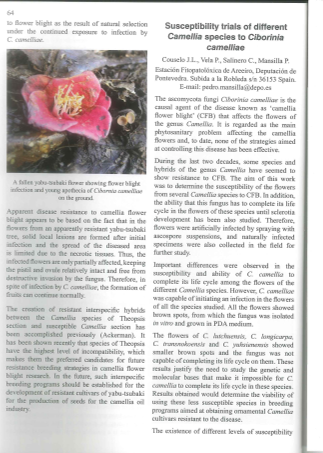 P6-14Web_ICJ-Suscibil-Ciborinia