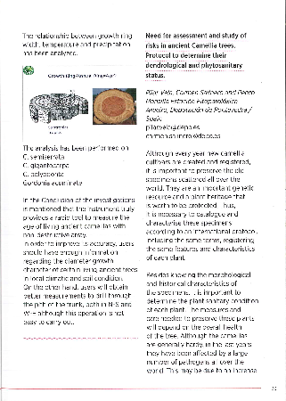 P12-19_Riesgos camelias-International Camelia Journal