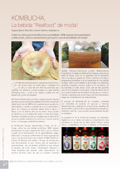P18-19_Kombucha