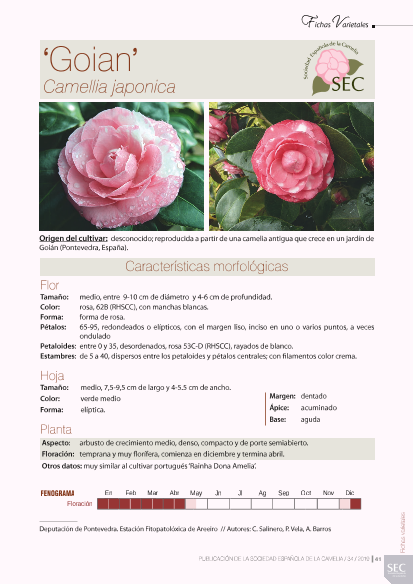 P5-19_camelia Goian y Marcos Castro