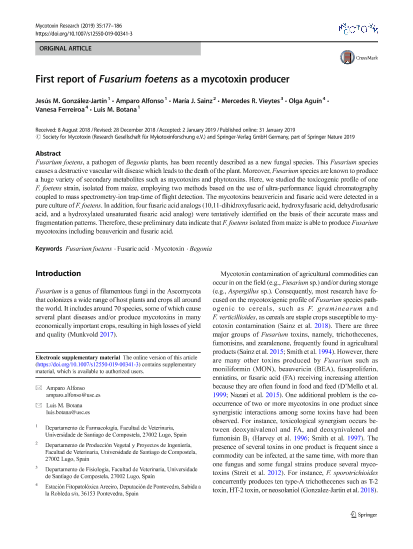 P6_19_Mycotoxin-Fusarium