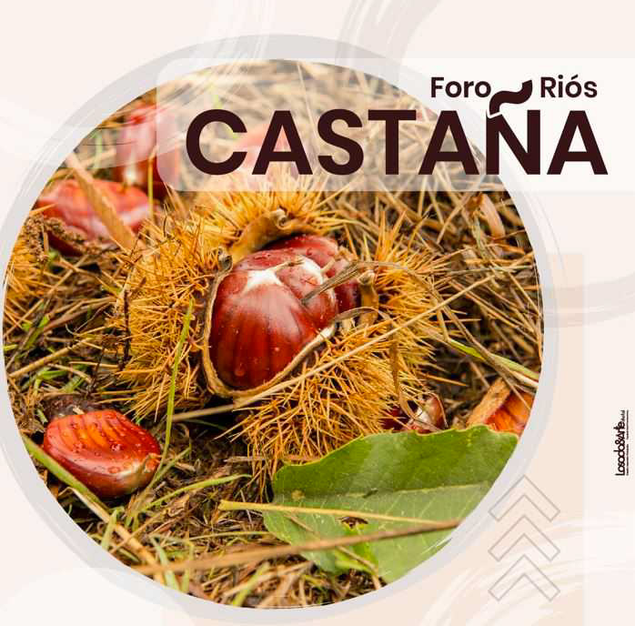 fORO CASTAÑA