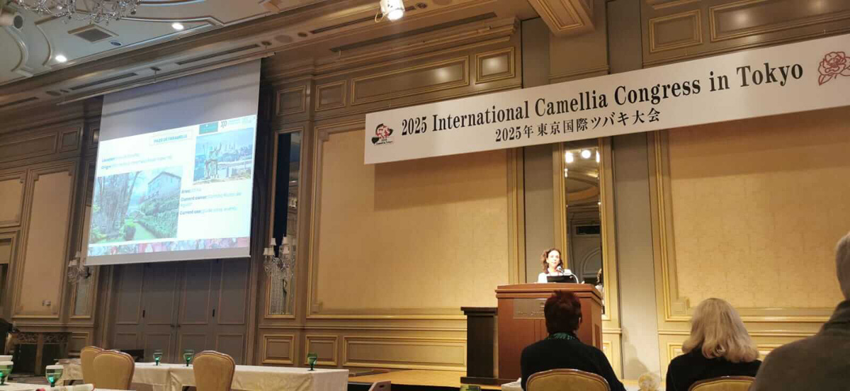 Congreso Internacional de la Camelia en Xapón