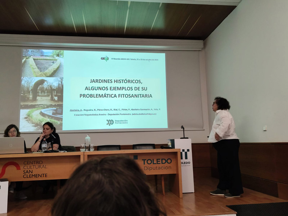 VI Reunión do GEDDI-SEF (Toledo, 2025)