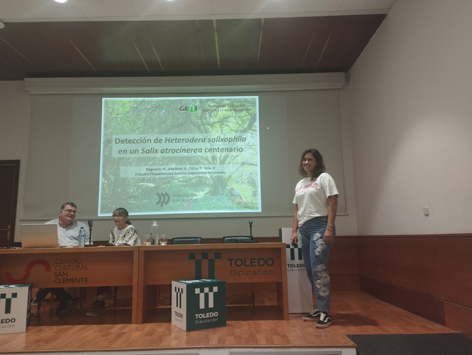 VI Reunión do GEDDI-SEF (Toledo, 2025)