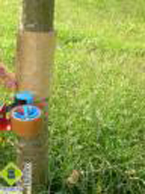 Proteción do refuxio (carton) dachoiva Proteción do refuxio (carton) dachoiva