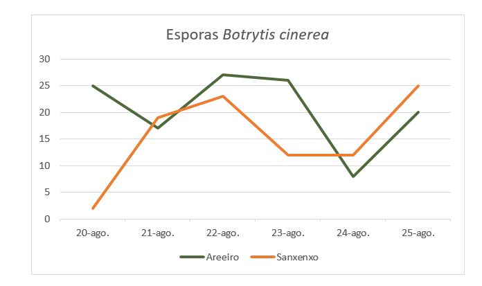 Esporas Botrytis cinerea