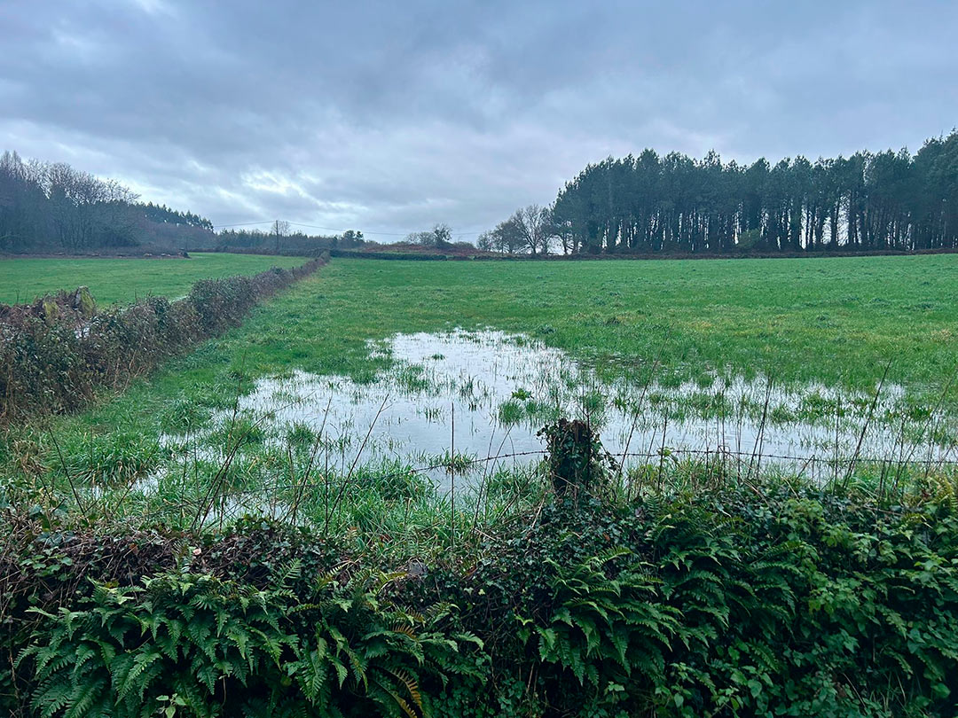 En xeral terreos con exceso de auga e algúns con auga acumulada