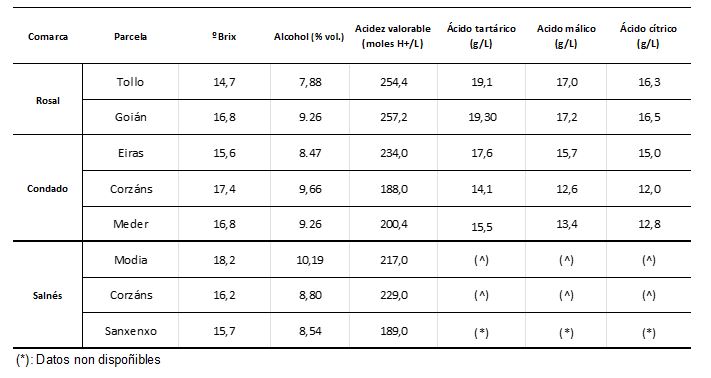 grafico