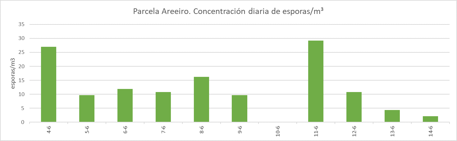 Parcela Areeiro