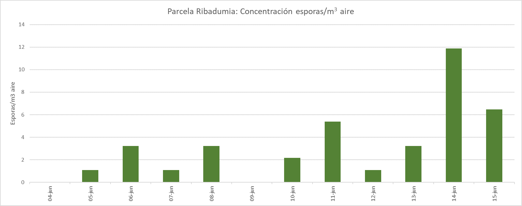 Parcela Ribadumia
